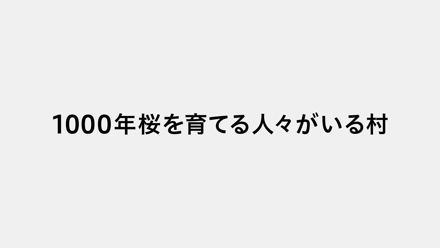 1000年桜を育てる人々がいる村