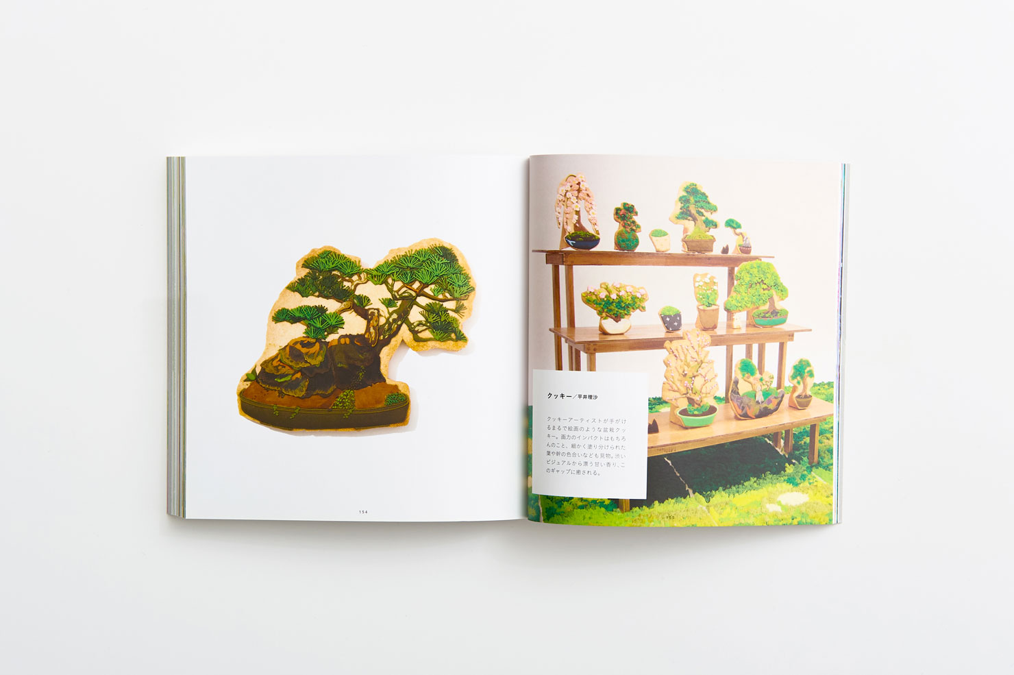 写真：書籍『I LOVE 盆栽』の見開きページ
