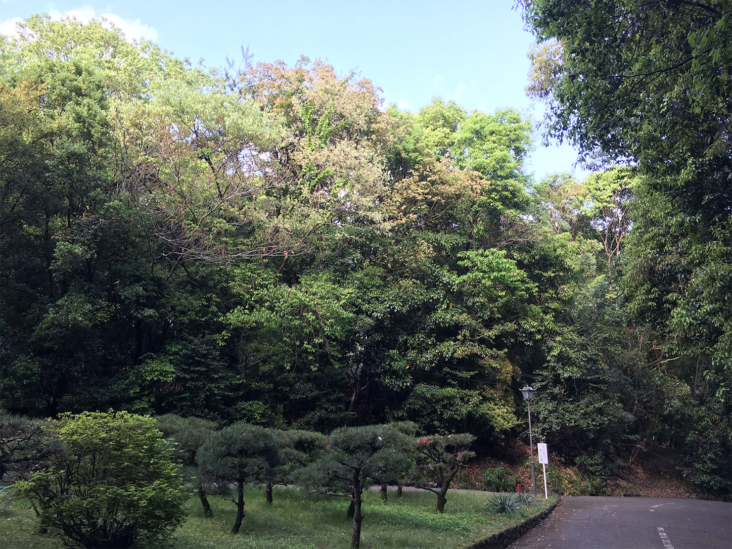 写真：学院の敷地内の様子