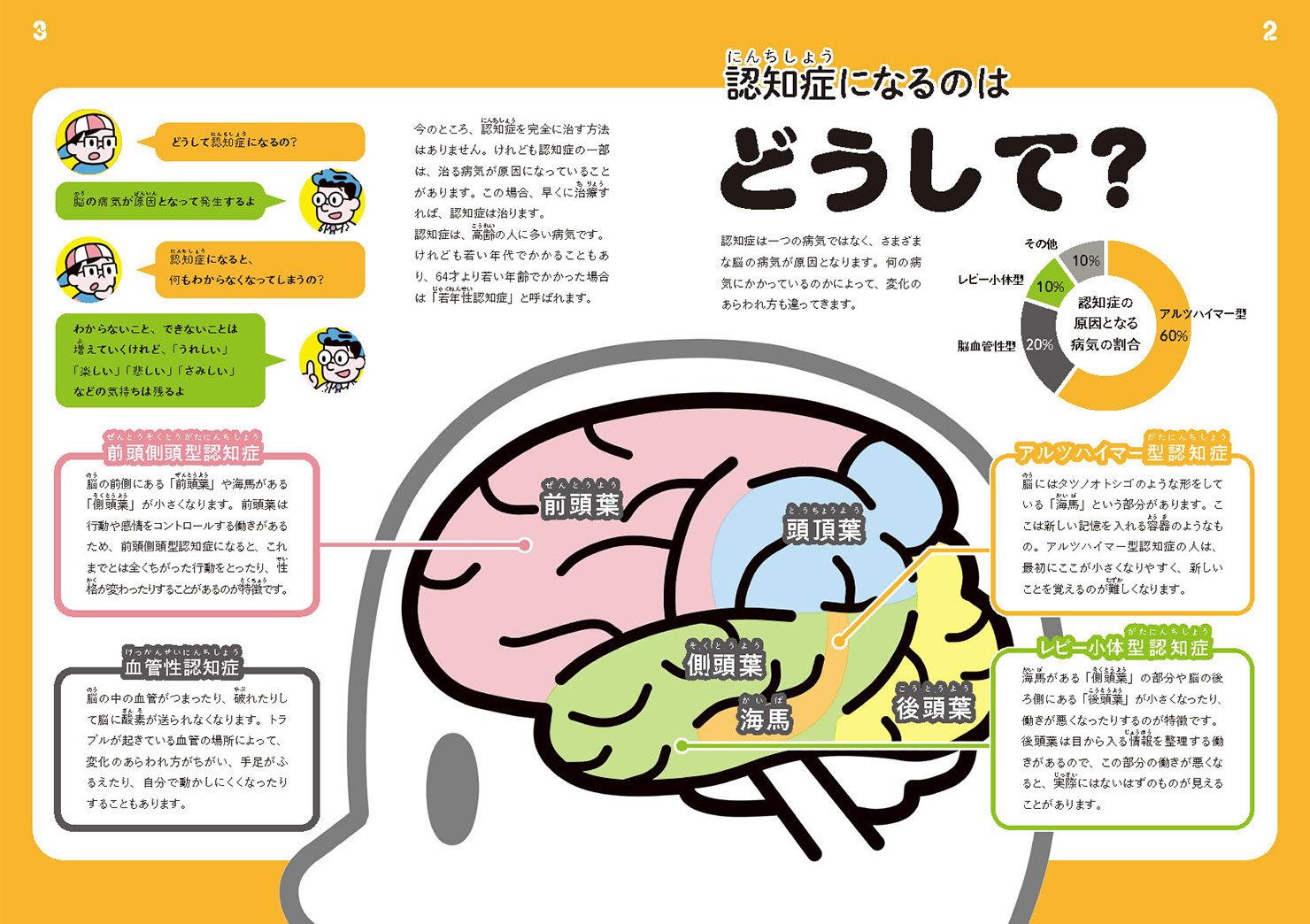 画像:冊子2,3ページの見開き。「認知症になるのはどうして？」という見出しと、人の脳をイラストで解説して「脳の病気である」ということが説明されている。