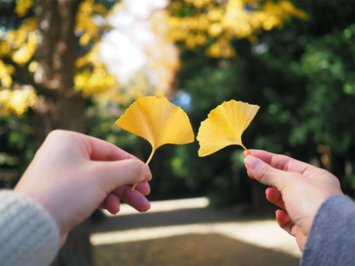 写真：作例「2人で持ったイチョウの葉を紅葉を背景に撮影」