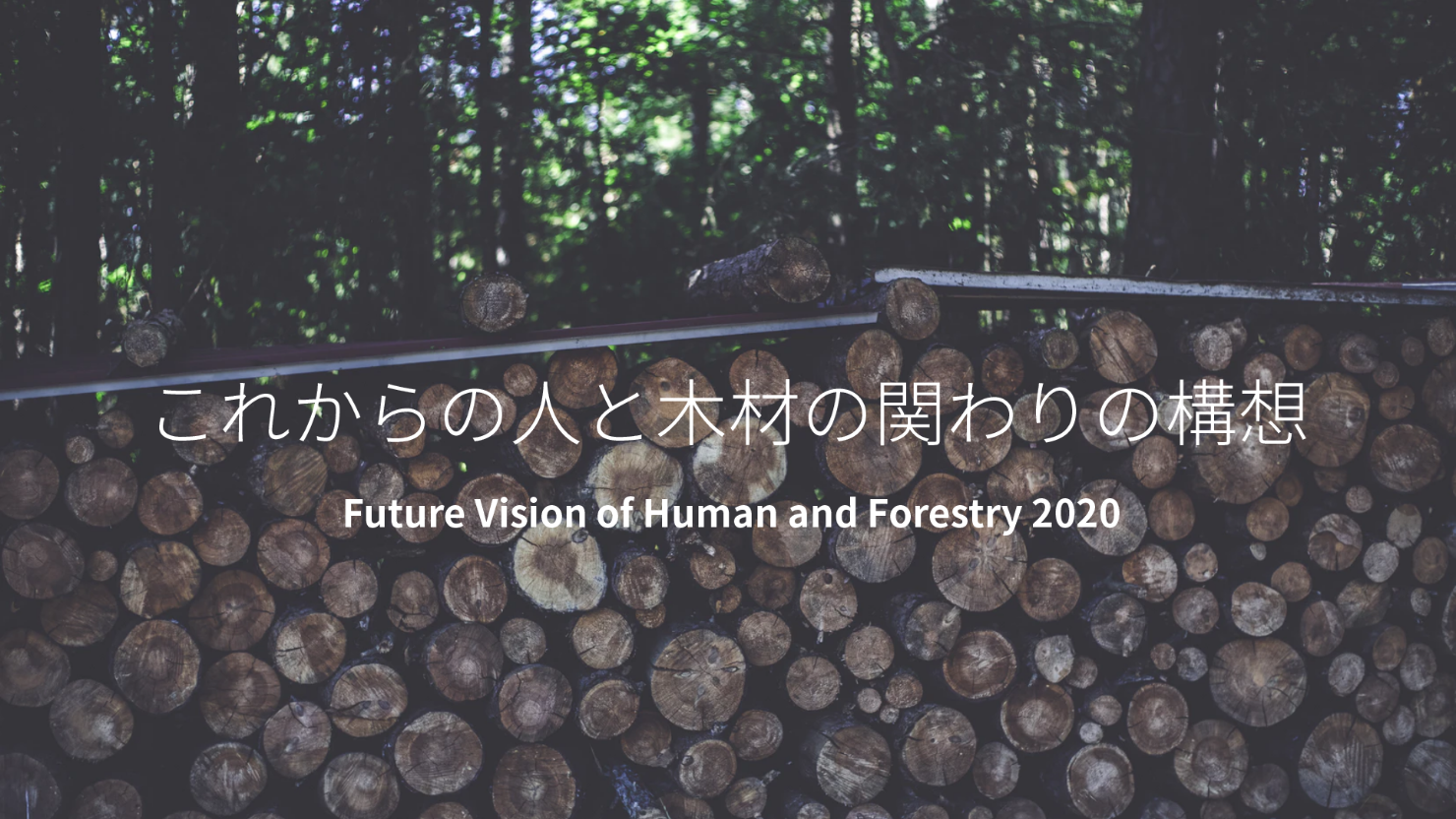 レポート表紙：タイトル 「これからの人と木材の関わりの構想 Future Vision of Human and Forestry 2020」