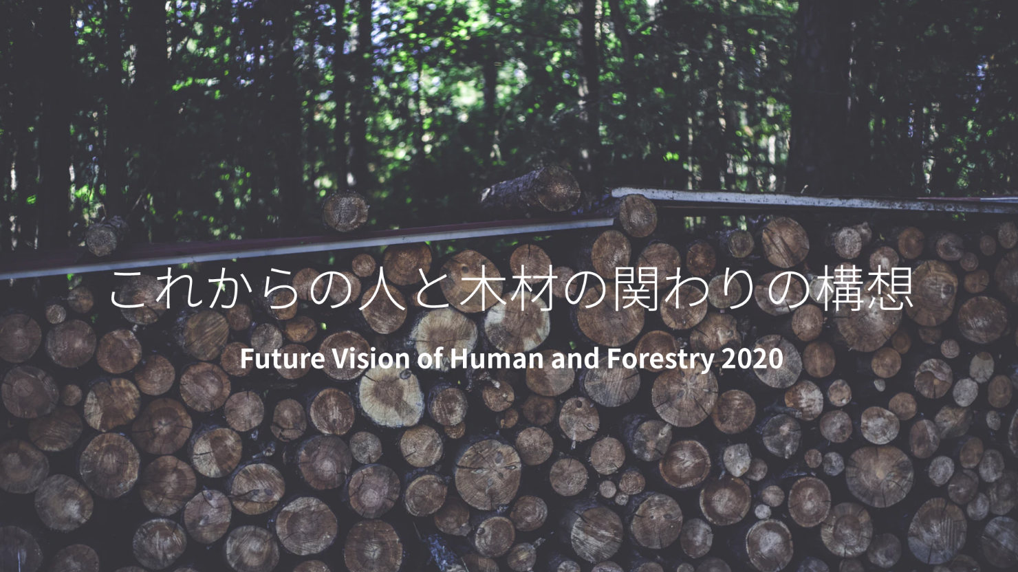 レポート表紙:タイトル 「これからの人と木材の関わりの構想 Future Vision of Human and Forestry 2020」