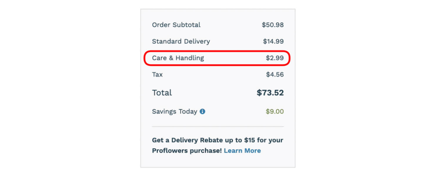 金額確認画面のスクリーンショット。Order Subtotal、Standard Delivery、TaxのほかにCare & Handling $2.99と書かれたコストが盛り込まれている。