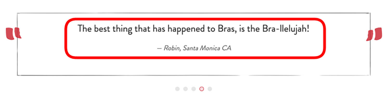 消費者のコメントが引用されたスクリーンショット。「The best thing that has happened to Bras, is the Bra-llelujah -Robin, Santa Monica CA」と書かれている。