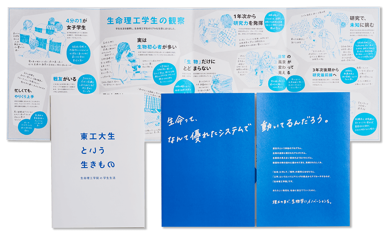 東京工業大学生命理工学院 受験生向けパンフレット 事例紹介 株式会社コンセント