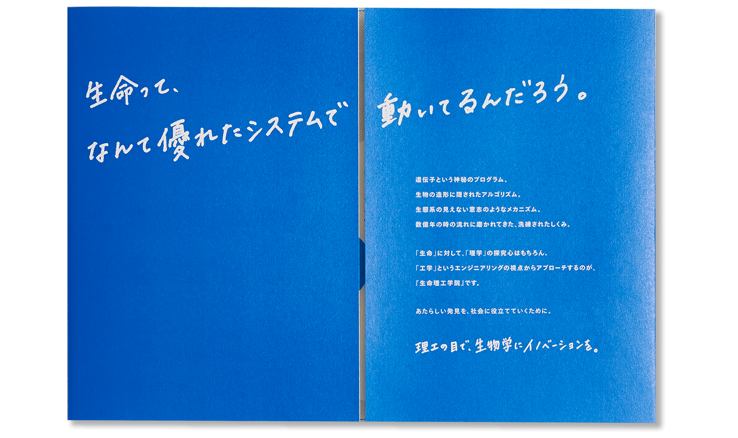 パンフレットのp2~3。コピーの文章が掲載されている。〈生命って、なんて優れたシステムで動いてるんだろう。遺伝子という神秘のプログラム。生物の造形に隠されたアルゴリズム。生態系の見えない意志のようなメカニズム。数億年の時の流れに磨かれてきた、洗練されたしくみ。「生命」に対して、「理学」の探究心はもちろん、「工学」というエンジニアリングの視点からアプローチするのが、『生命理工学院』です。あたらしい発見を、社会に役立てていくために。理工の目で、生物学にイノベーションを。〉