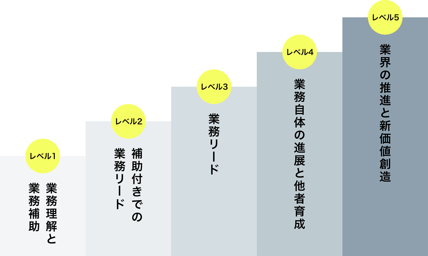 「レベル分けの図。レベル1から階段状に図化されている。レベル1［業務理解と業務補助］、レベル2［補助付きでの業務リード］、レベル3［業務リード］、レベル4［業務自体の進展と他者育成］、レベル5［業界の推進と新価値創造］。