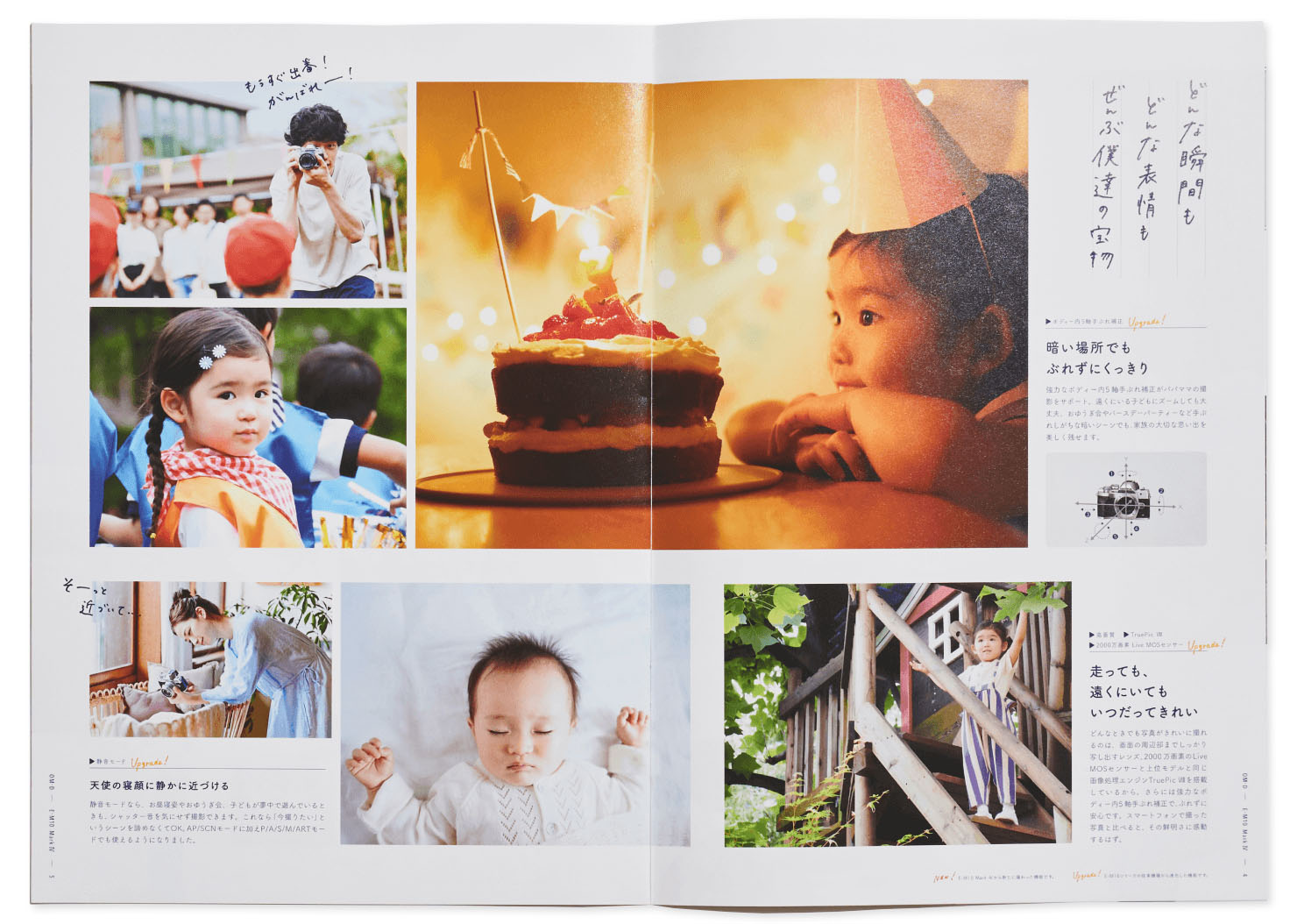写真:製品カタログページの一部抜粋。作例写真と機能解説が書かれている