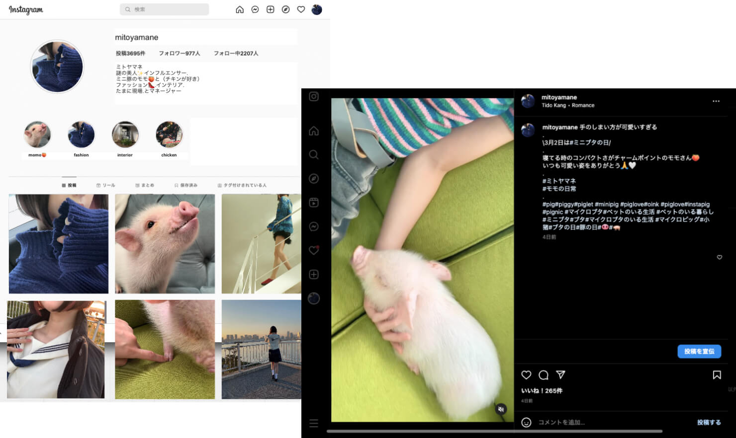 ミトヤマネの私生活を投稿するインスタグラムアカウントの様子