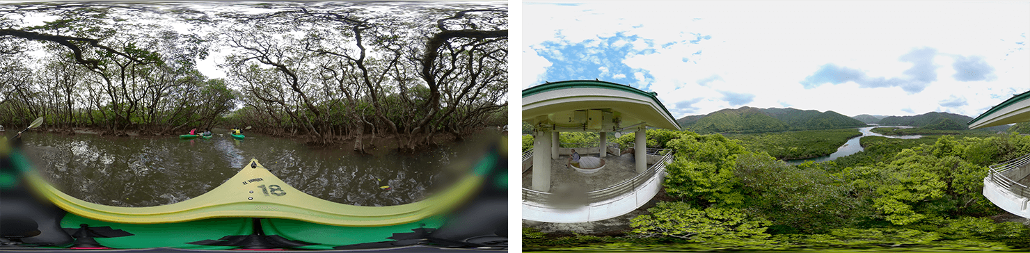 カヌー、展望台からの2視点のマングローブ林VR映像イメージ