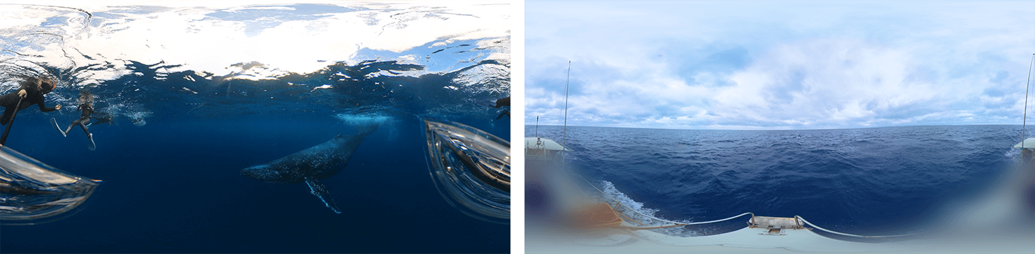 海中、船上からの2視点のホエールウォッチングVR映像イメージ